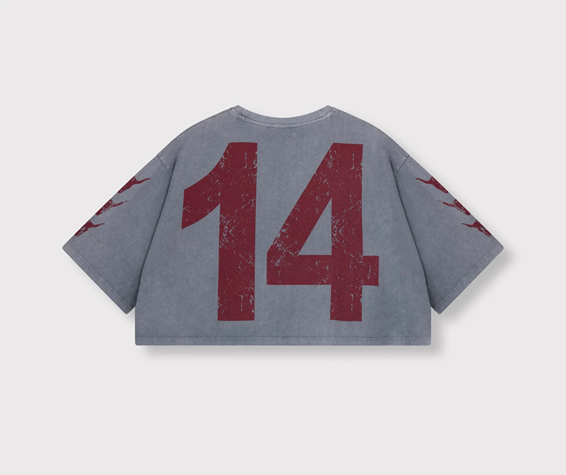 T-Shirt  2014  ALIX THE LABEL